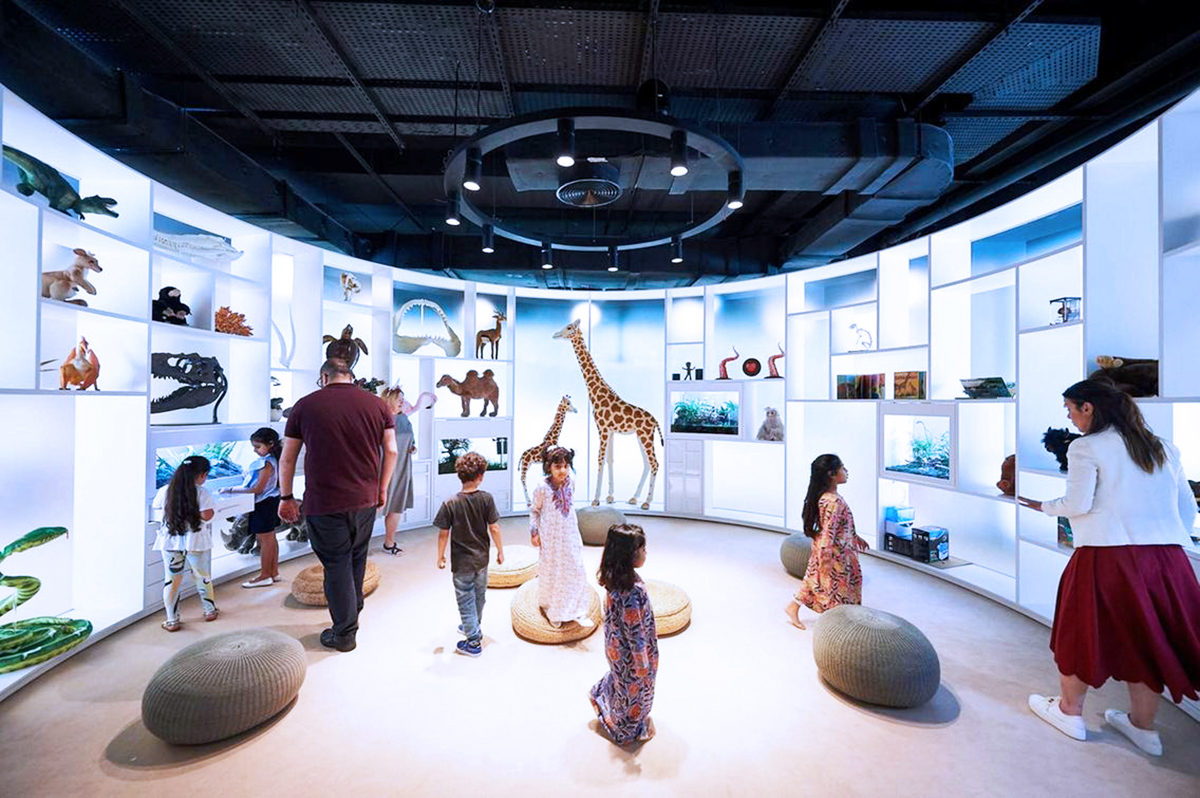 Abu Dhabi Culture & Tourism